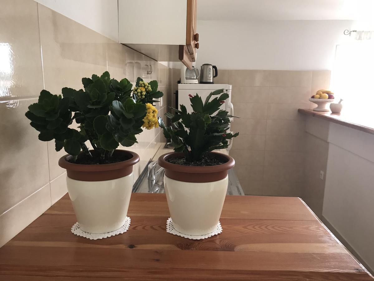 Apartment Ivancica